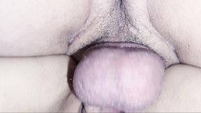 creampie compilation