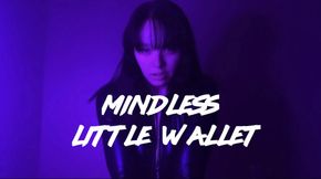 Mindless Little Wallet