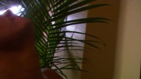 Elegant women seduce cock gets facial