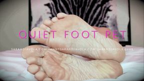 Quiet Foot Pet