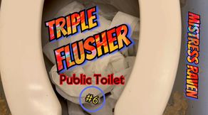 TRIPLE FLUSHER - PUBLIC TOILET