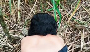 Village Bhabhi Fucked In Sugarcane Field Indian Sex Video