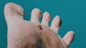 Work Socks Removal & Close-Up Barefoot Footplay – Real Smelly Feet POV