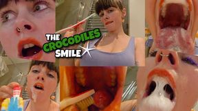 THE CROCODILES SMILE