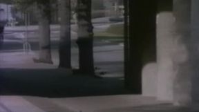 Chippy's kink video