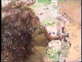Two horny dudes have a good time with busty redhaired Brazilian tranny on the home lawn