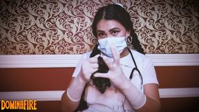 Medical Latex Gloves Asmr