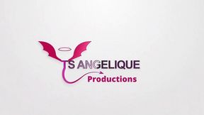 ts angelique trans porn - blowjob