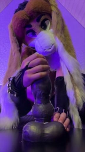 Furry Bunny Fursuit Rides Giant XXL Knotted Toy