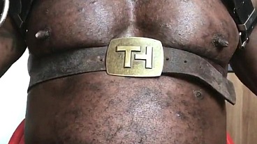 Muscle Tits Obsession