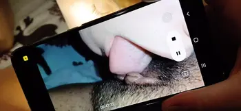 Three Dorm Roommates Have Nasty Fucking