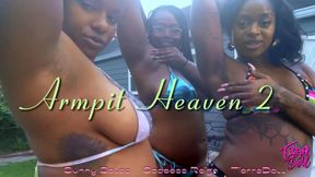 Armpit Heaven 2 feat Goddess Reign and Sunny Soles