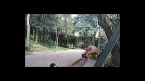 Sexo no mato com o desconhecido