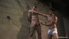 Bound Gods: The Straight Bodybuilder