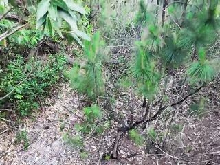 Drone footage captures couple having sex.