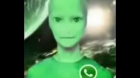 Wattsap 2  12 d&iacute_as solo 12 dias