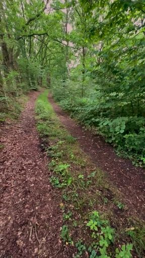 Teenager running along a forest path   Clip 1