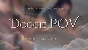 Vid151 – Doggie POV