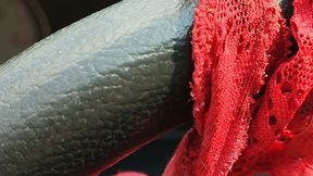 There must be nectar in my panties? You were in such a hurry to try it that you tore them up... Ay,