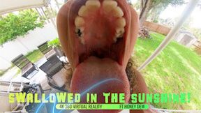 Swallowed In The Sunshine! Ft Honey Dew - 4K 360 VIRTUAL REALITY