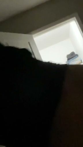 Public Oral Sex, Bus Stop Sex and Orgasm At Home   Clip 2