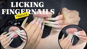 Licking And Sucking On Naturally Long Fingernails, 7cm Long | LINH'S LONG NAIL | CRAZY ABOUT LONG AND NATURAL NAILS