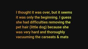 Mom's neighbour vacuuming car - very loud ! (AUDIO)