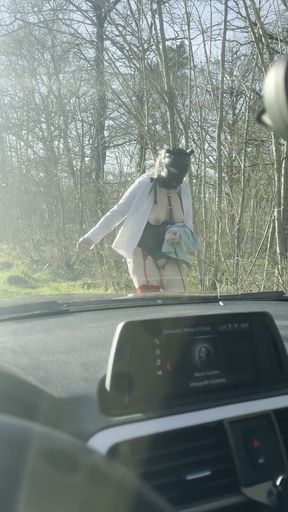 WDS - Whore Delivery Service