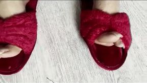 Worn Tasty Slippers(small version)