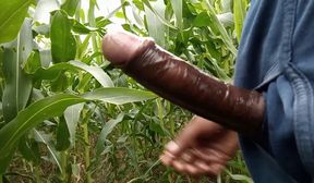 indian village guy jerking-off in the corn field