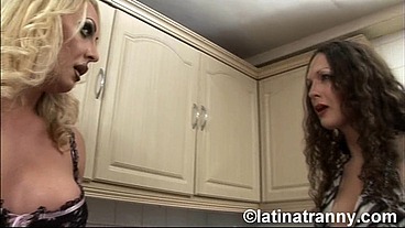 Transexuals Desperate Housewives Alison Dale and Nikki Montero