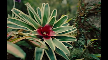 DUGSTER FODENDO GOSTOSO OS TRAPPERS