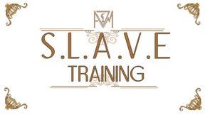 AVM SLAVE Training