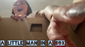 Little man in a box