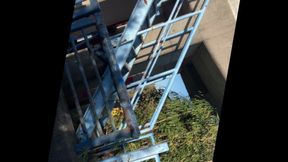 Self-training No. 24: Morning Exposure Walk