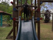 VIDEO DE ESTER DISFRUTA VER PERRA EN EL PARQUE