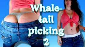 Whale Tail Picking 2