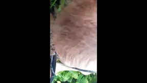 Blissful Beach Blowie: Fit Gringo Expertly Services Massive Hard Cock – AmateurGayFun 18+