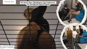 My Useless Slave: Humiliation, Cage Confinement, Ass Worship & Ruined Orgasm - Mistress Julia