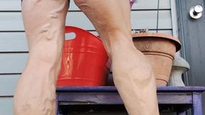 Tempest's thick legs