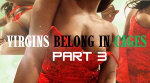 Virgin Gooners Belong In Cages: Part 3