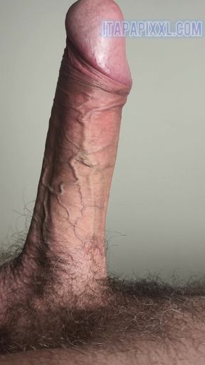 Daddy's Cock Mugshot