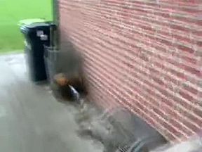 Isi Handling My Hairy Cock