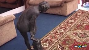 A hairy pussy that first cums profusely and then pisses with a very good gush!