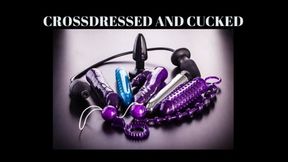 CROSSDRESSED AND CUCKED TRAINING - Erotic Fantasy Mind Fuck