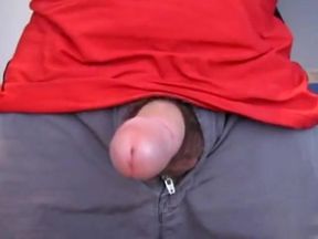 Hairy Bear Strokes His Big Dick
