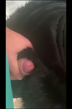 Adventures of MILFyCalla Ep 21 - A Bitch Was Traped 2