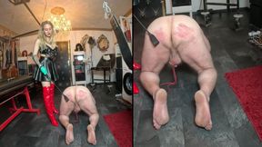 Your Testicles Must Endure Suffering for Your Mistress!
