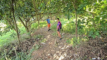 se aventurando na floresta!
