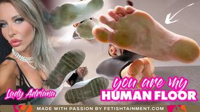 You are my human floor ( Foot Domination POV with Lady Adriana ) - 640p wmv